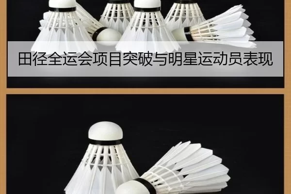 田径全运会项目突破与明星运动员表现