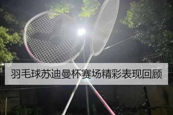 羽毛球苏迪曼杯赛场精彩表现回顾